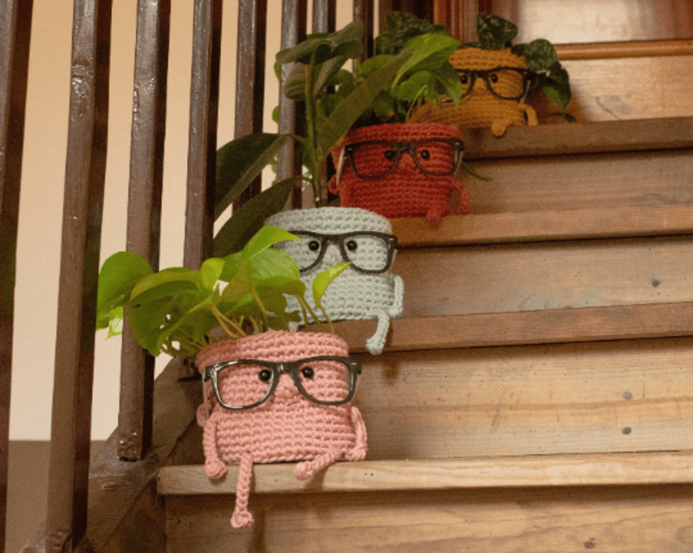 Kit crochet maceta intelectual - 3