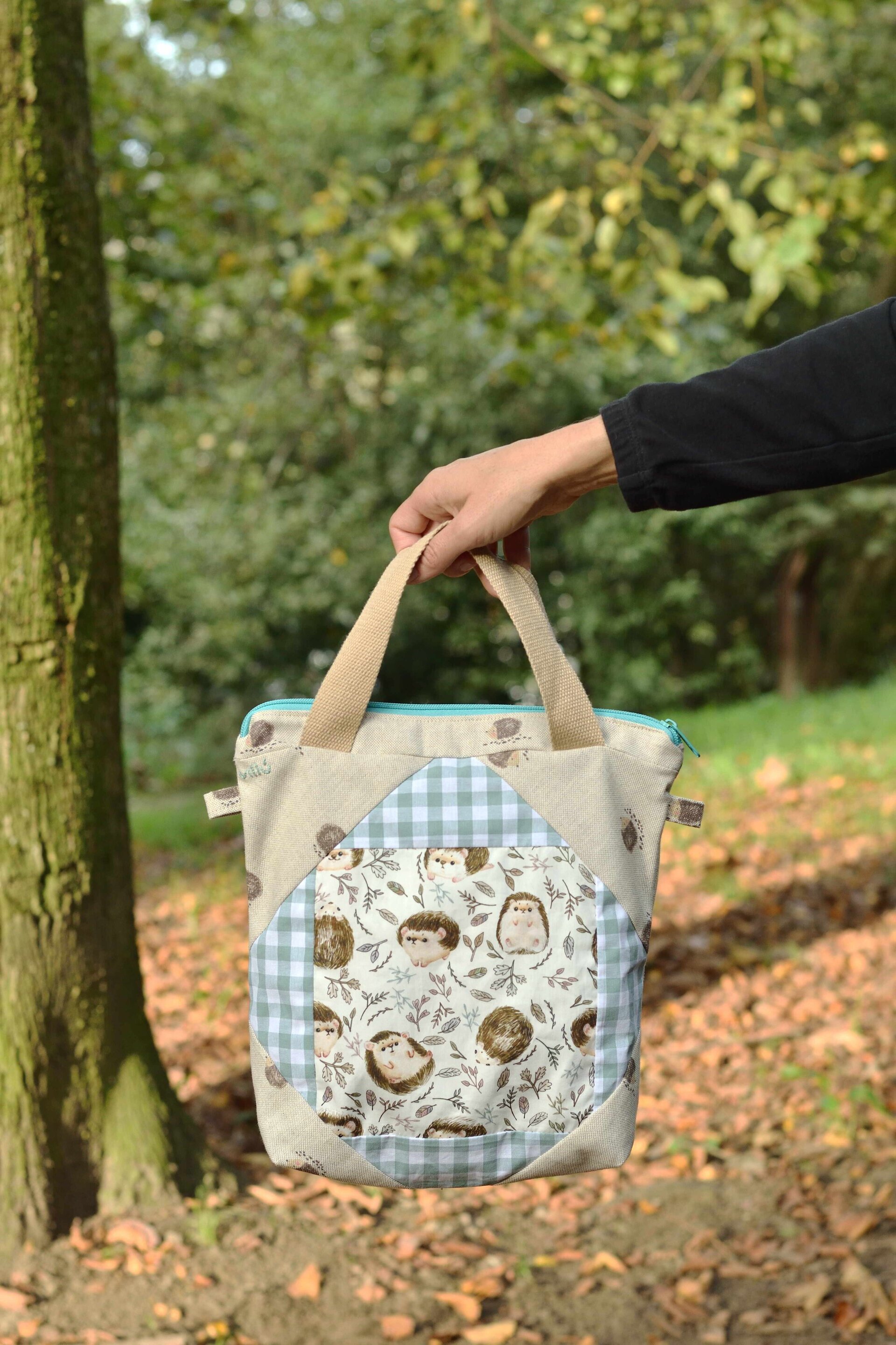 Bolsa de proyectos Erizos - 5