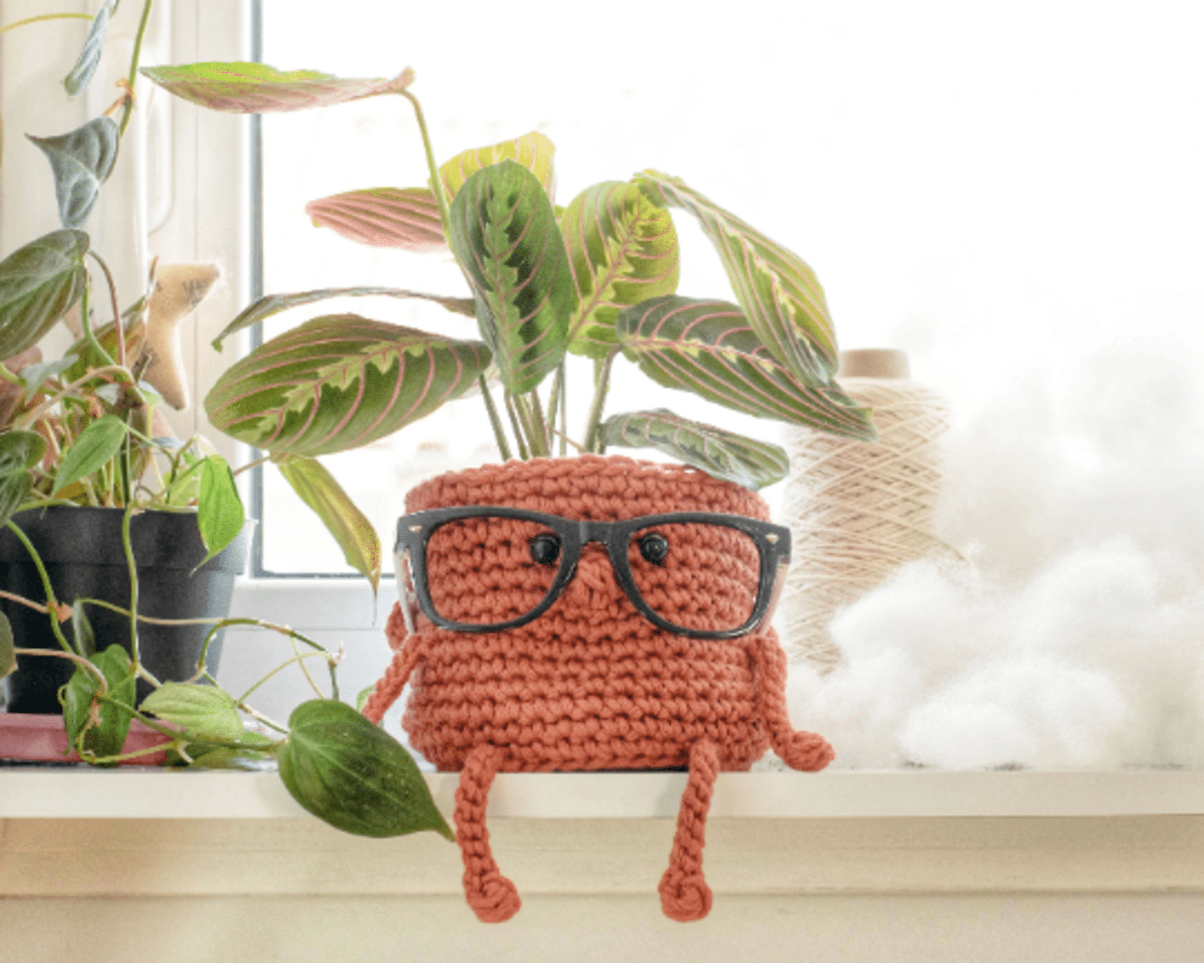Kit crochet maceta intelectual - 2