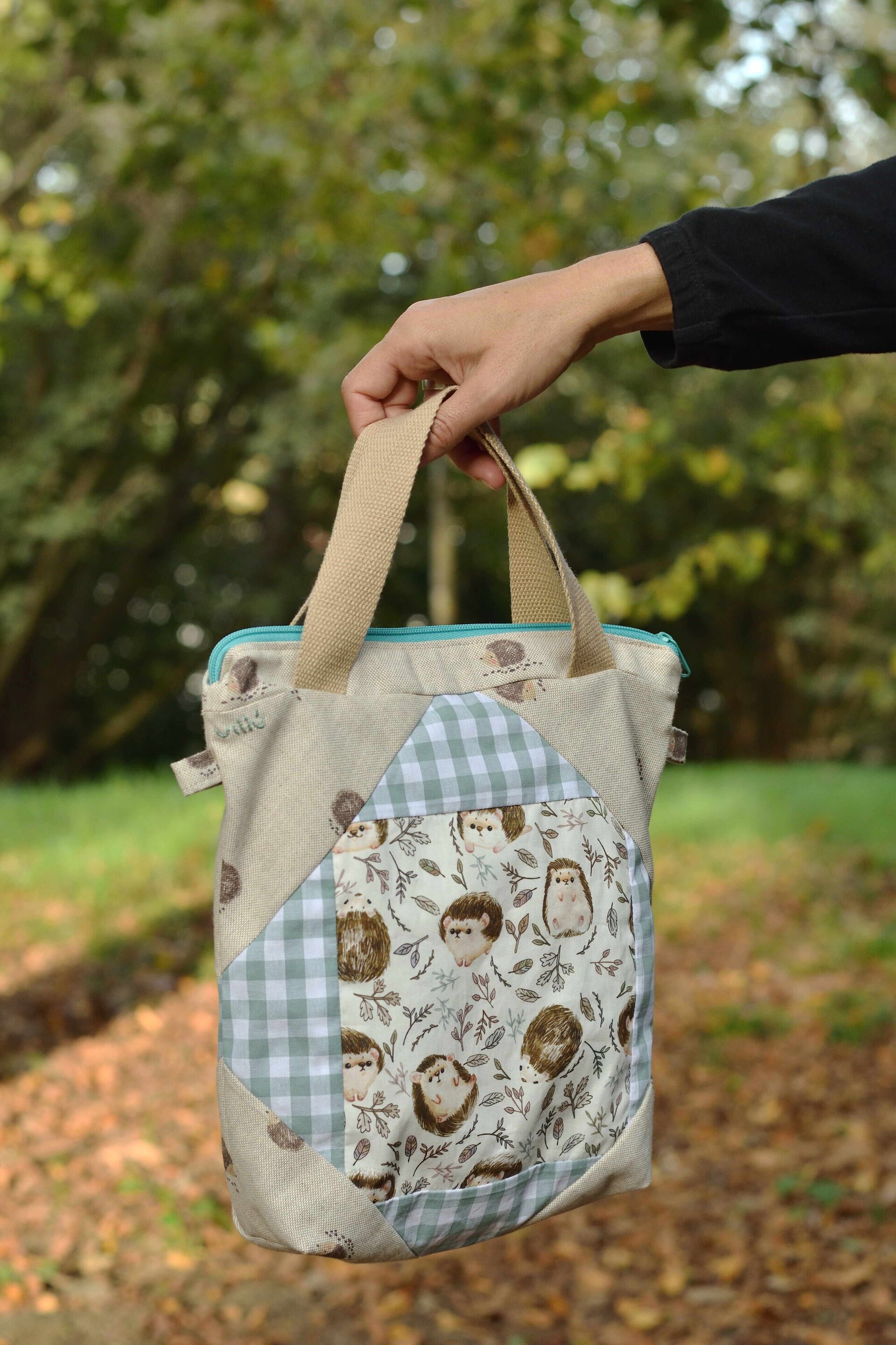 Bolsa de proyectos Erizos - 2