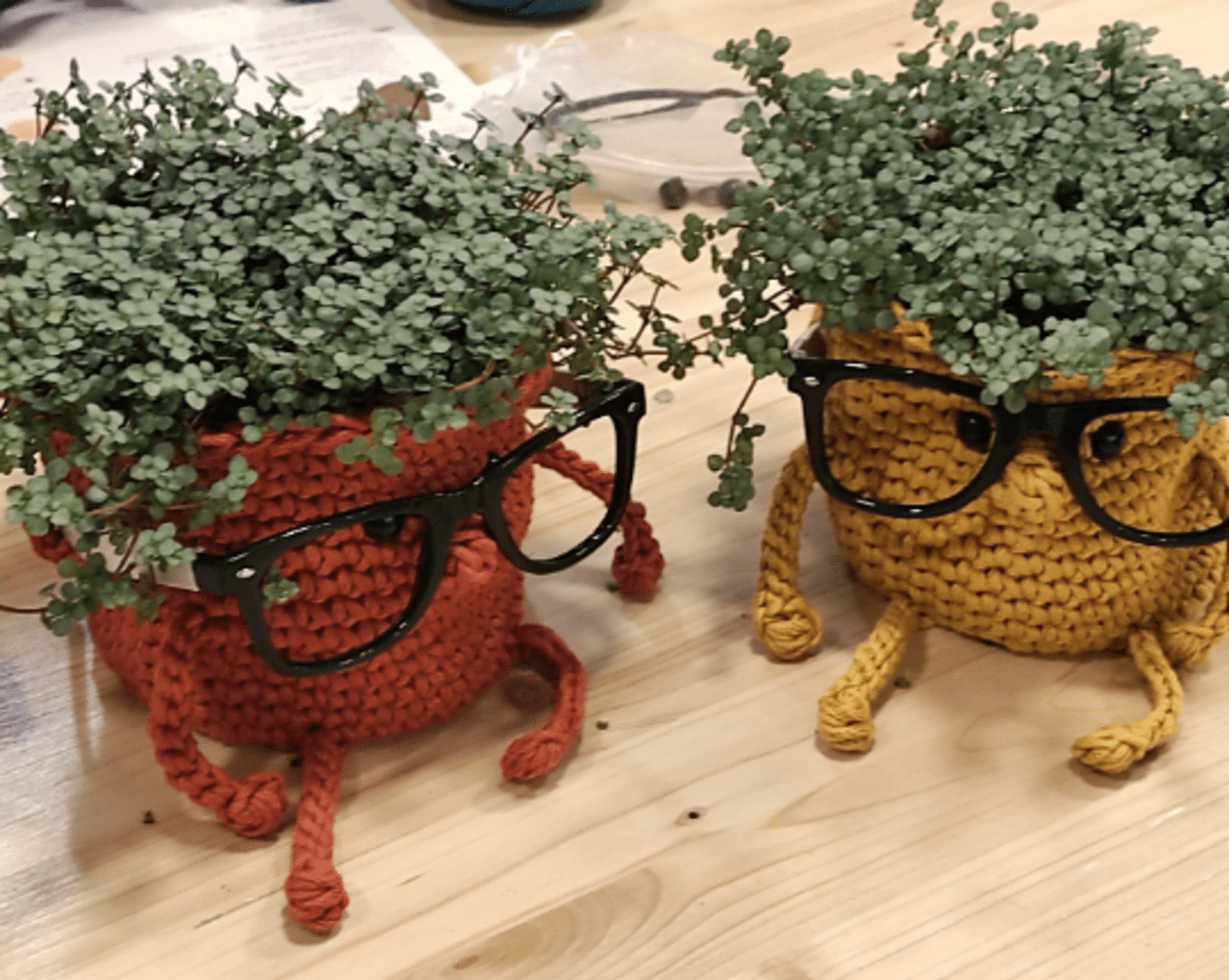Kit crochet maceta intelectual - 5