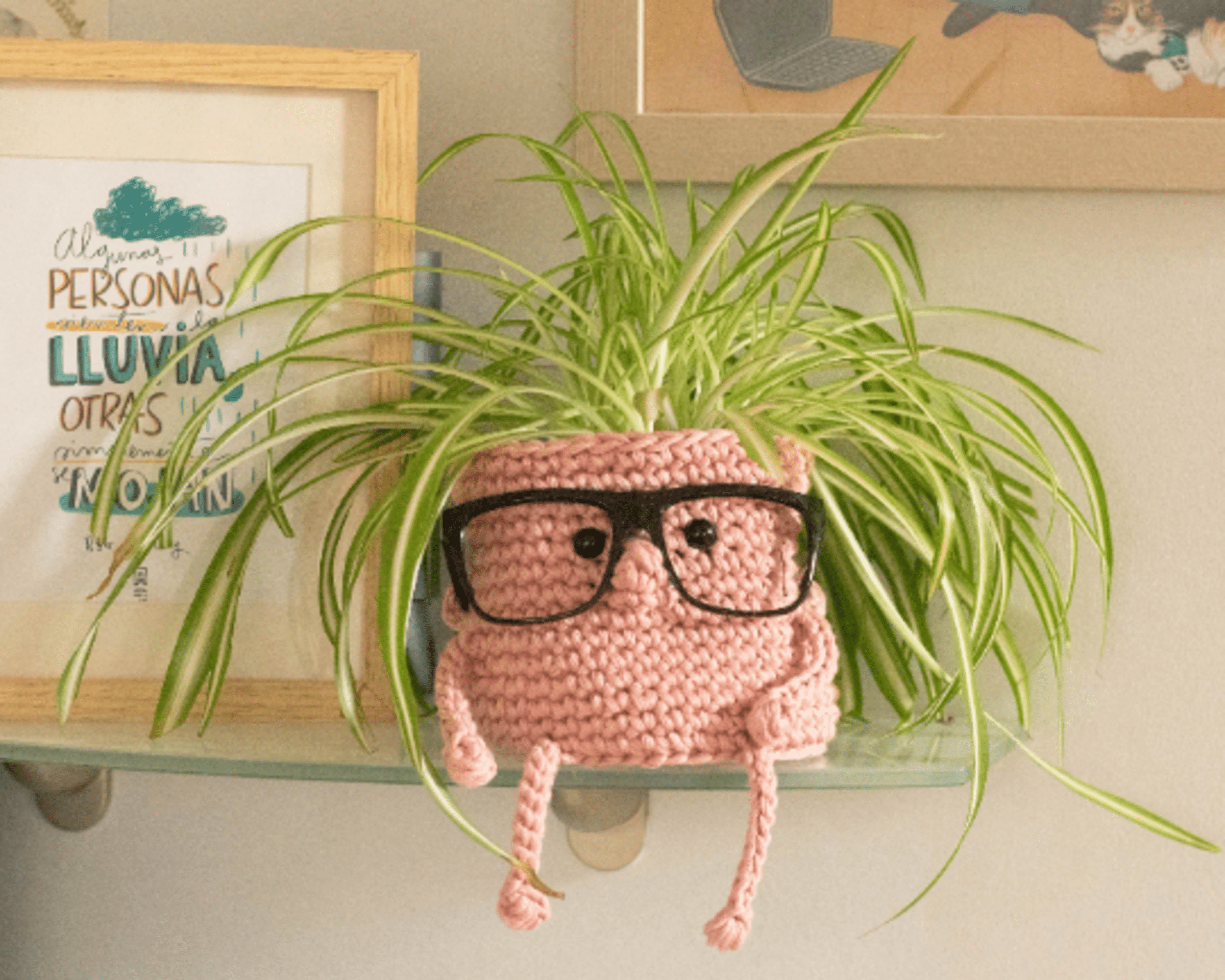 Kit crochet maceta intelectual - 4